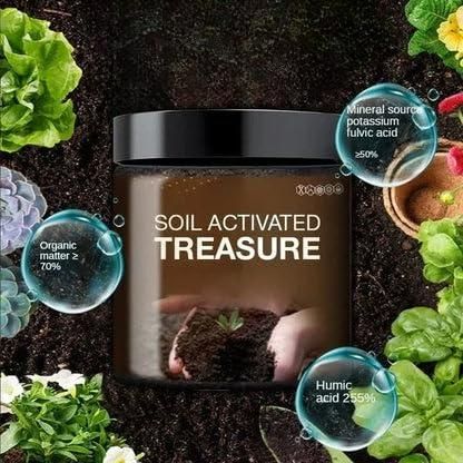 Soil Activated Treasure Premium Soil Activator 200gram (Pack of 2) - Dragbuy